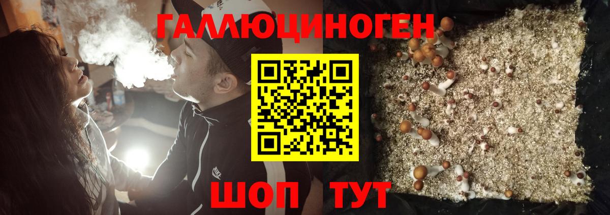 Галлюциногенные грибы ЛСД  Вход с VPN  наркотики  Старая Купавна  Псилоцибиновые грибы мицелий 